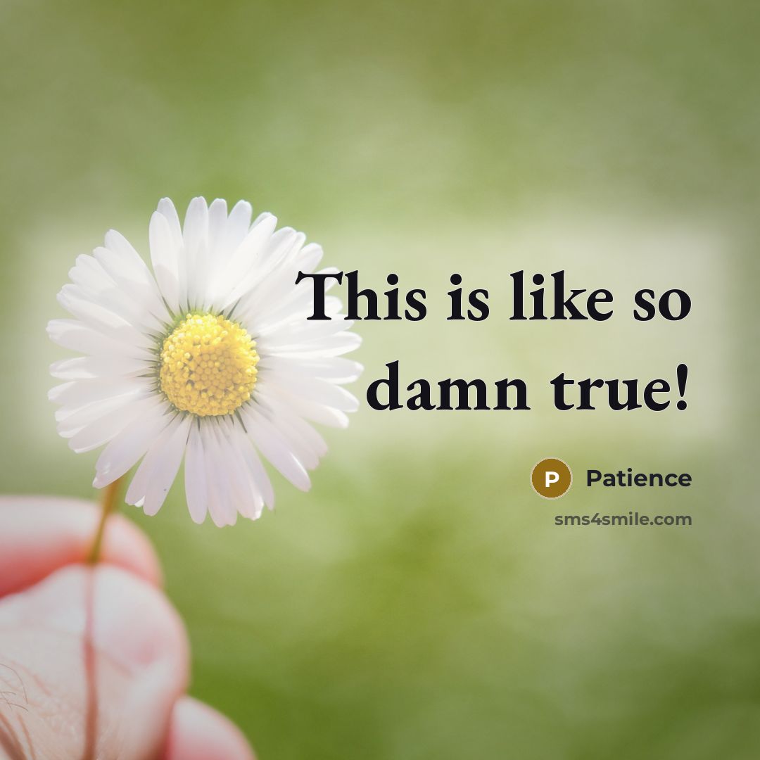 “This is like so damn true!…” quote by Patience