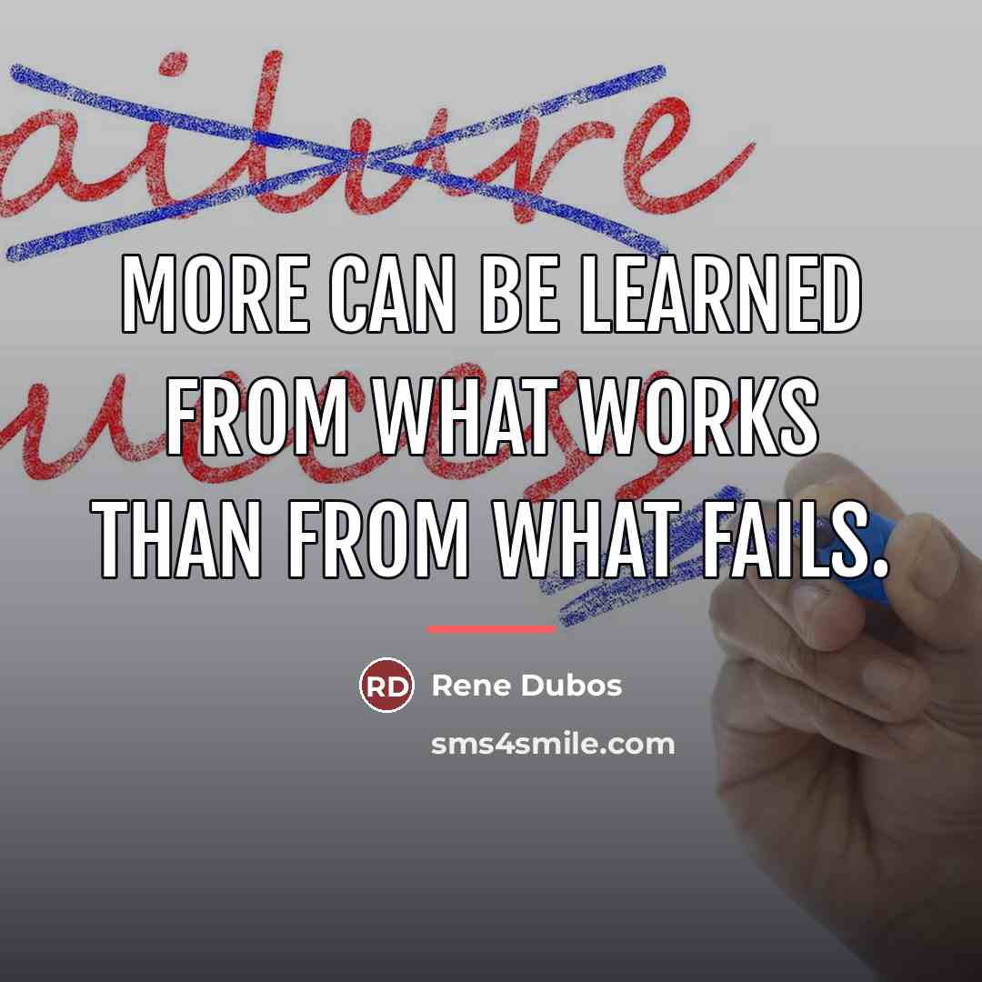 “More can be learned from what works than from what…” quote by Rene Dubos