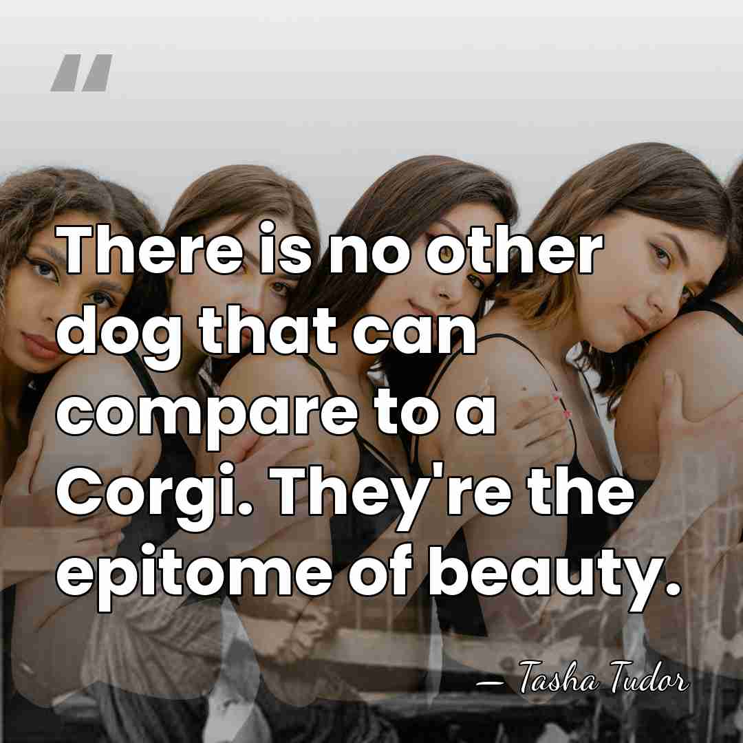 There is no other dog that can compare to a Corgi. They're&hellip; - Tasha Tudor