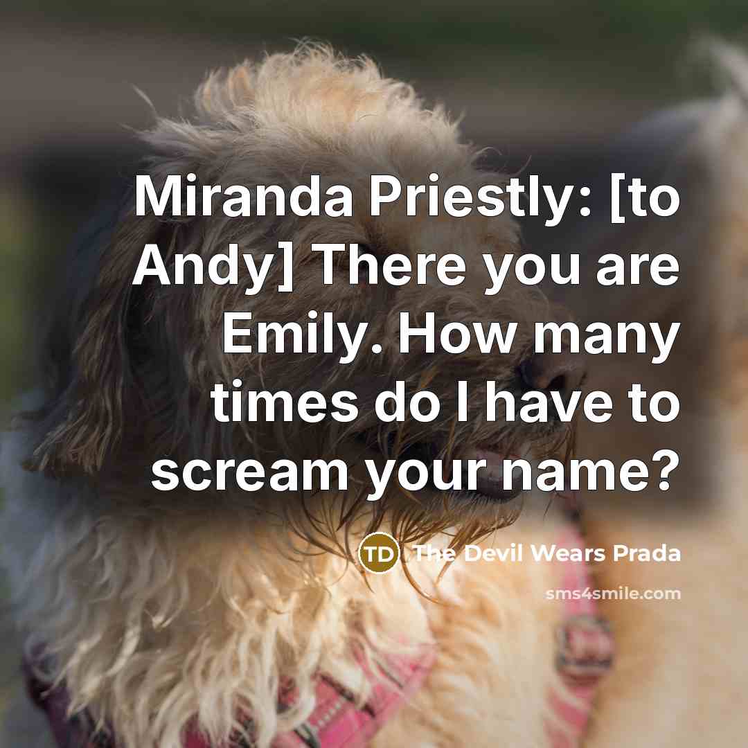“Miranda Priestly: [to Andy] There you are Emily. How many times do I have to scream your name?” quote by The Devil Wears Prada