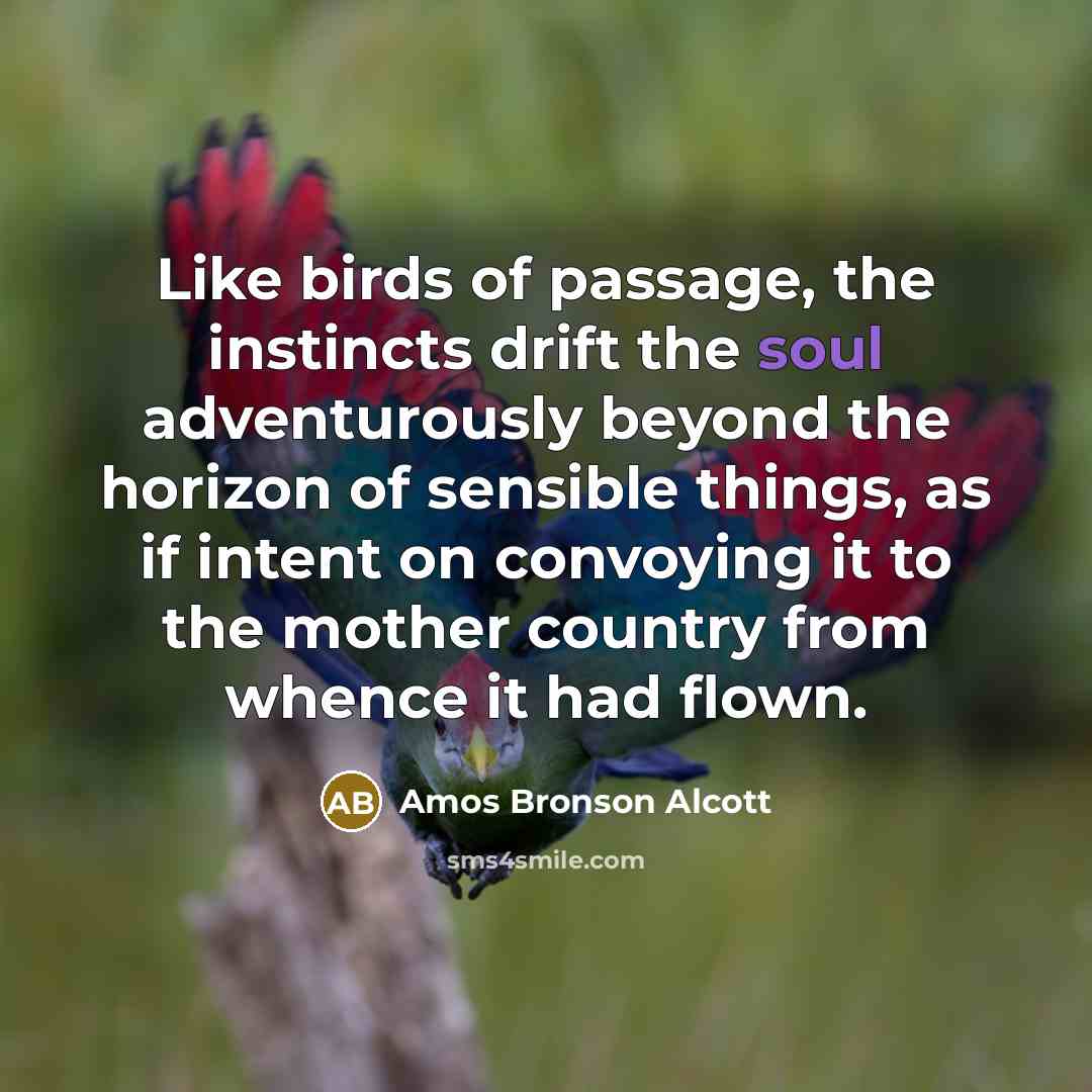 “Like birds of passage, the instincts drift the soul adventurously…” quote by Amos Bronson Alcott
