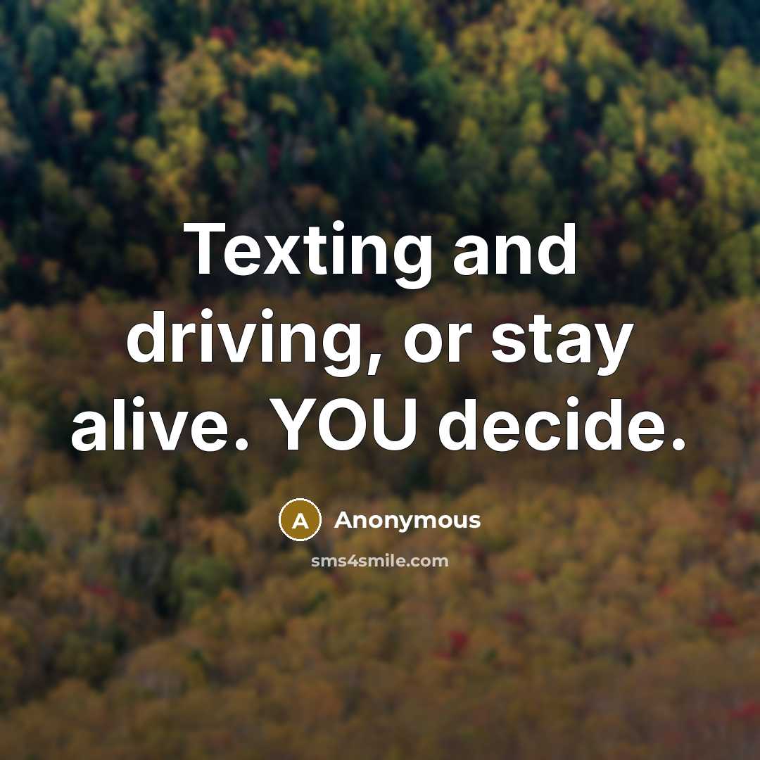 “Texting and driving, or stay alive. YOU decide.” quote by Anonymous