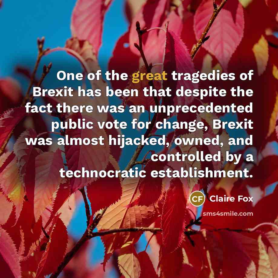 “One of the great tragedies of Brexit has been that…” quote by Claire Fox