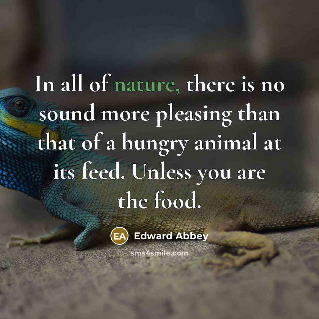 “In all of nature, there is no sound more pleasing…” quote by Edward Abbey