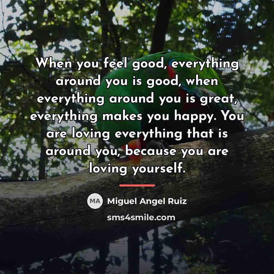 “When you feel good, everything around you is good, when…” quote by Miguel Angel Ruiz