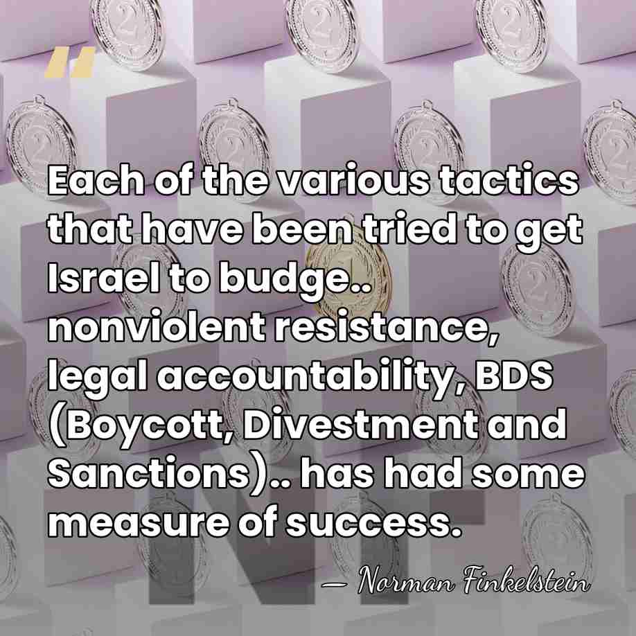 Each of the various tactics that have been tried to get Israel&hellip; - Norman Finkelstein