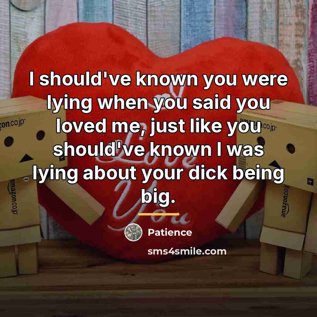 “I should've known you were lying when you said you…” quote by Patience