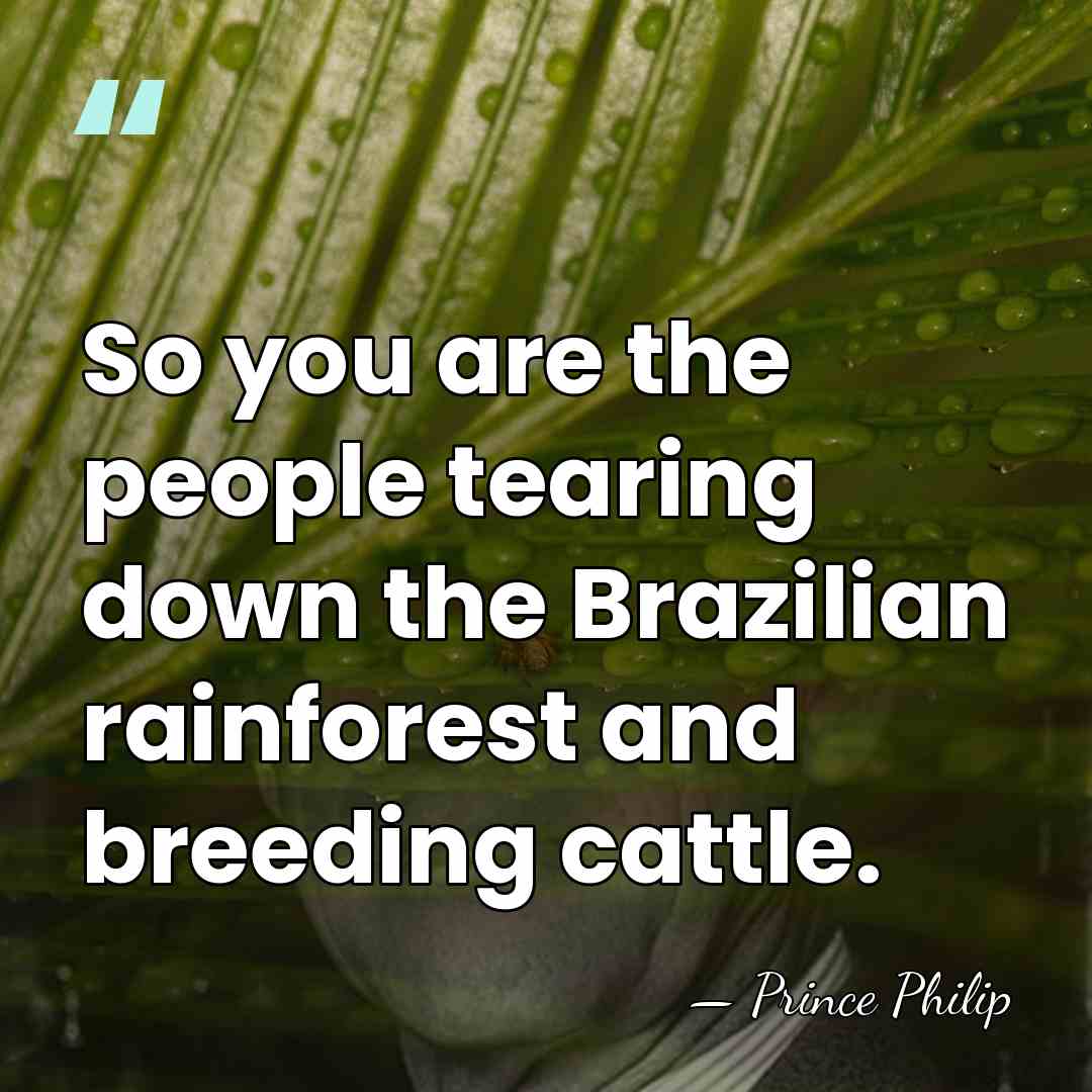 So you are the people tearing down the Brazilian rainforest and breeding&hellip; - Prince Philip