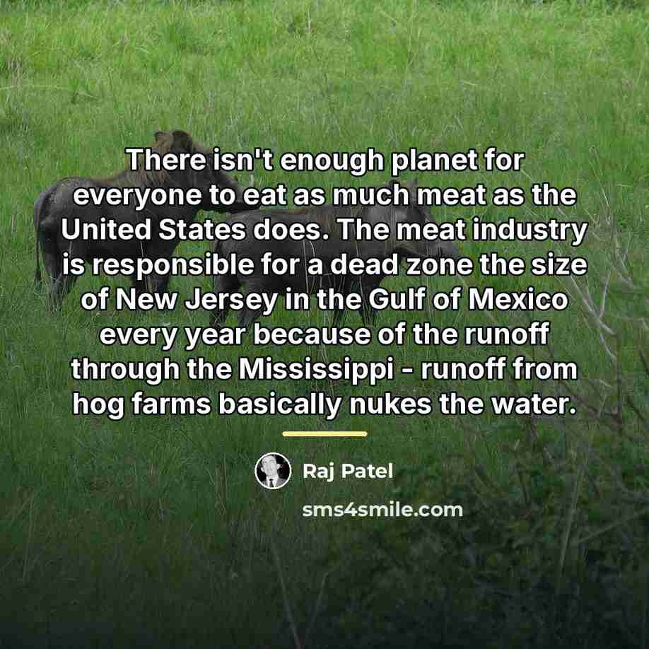 “There isn't enough planet for everyone to eat as much…” quote by Raj Patel
