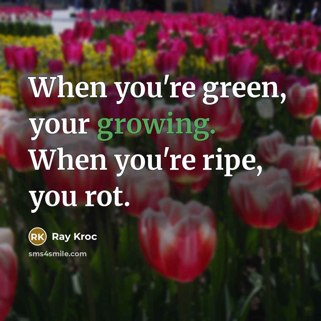 “When you're green, your growing. When you're ripe, you rot.…” quote by Ray Kroc