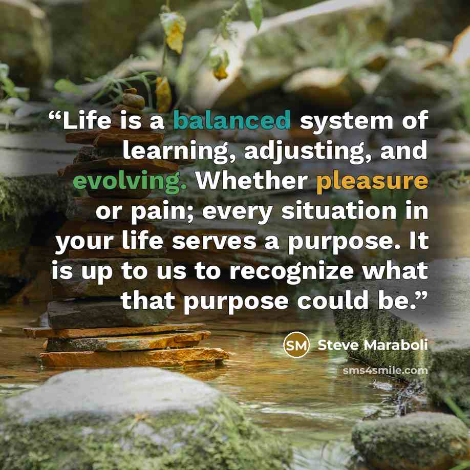 “Life is a balanced system of learning, adjusting, and evolving. Whether pleasure or pain; every situation in your life serves a purpose. It is up to us to recognize what that purpose could be.” quote by Steve Maraboli