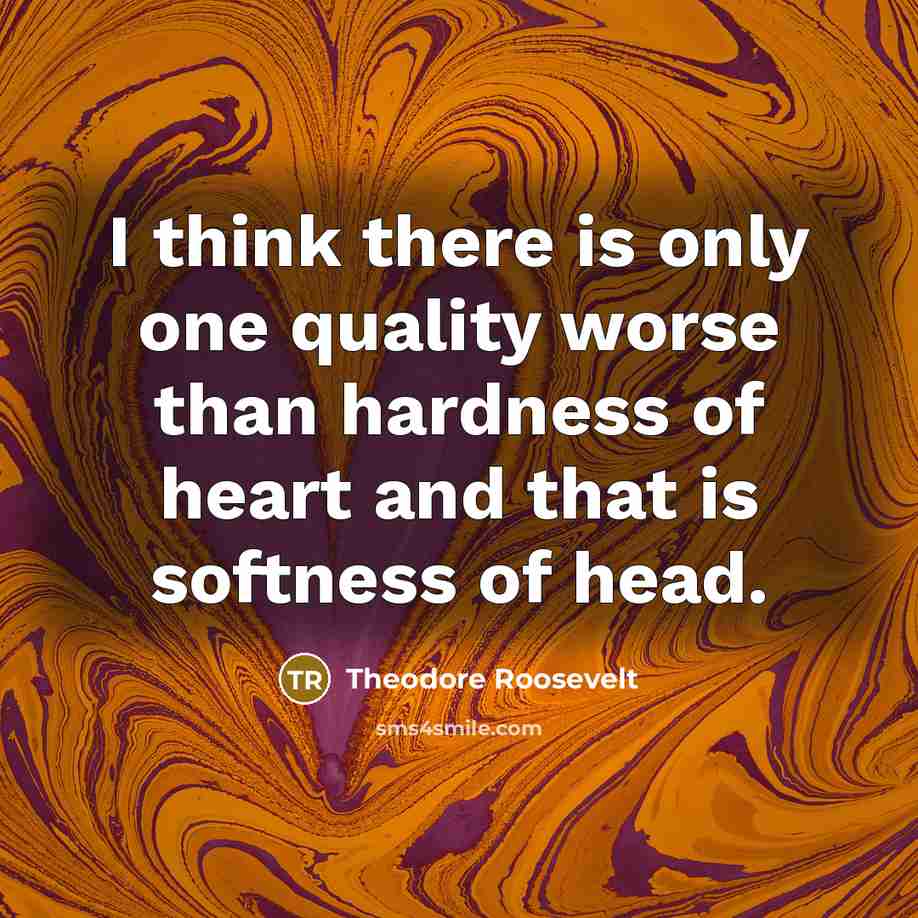 “I think there is only one quality worse than hardness…” quote by Theodore Roosevelt
