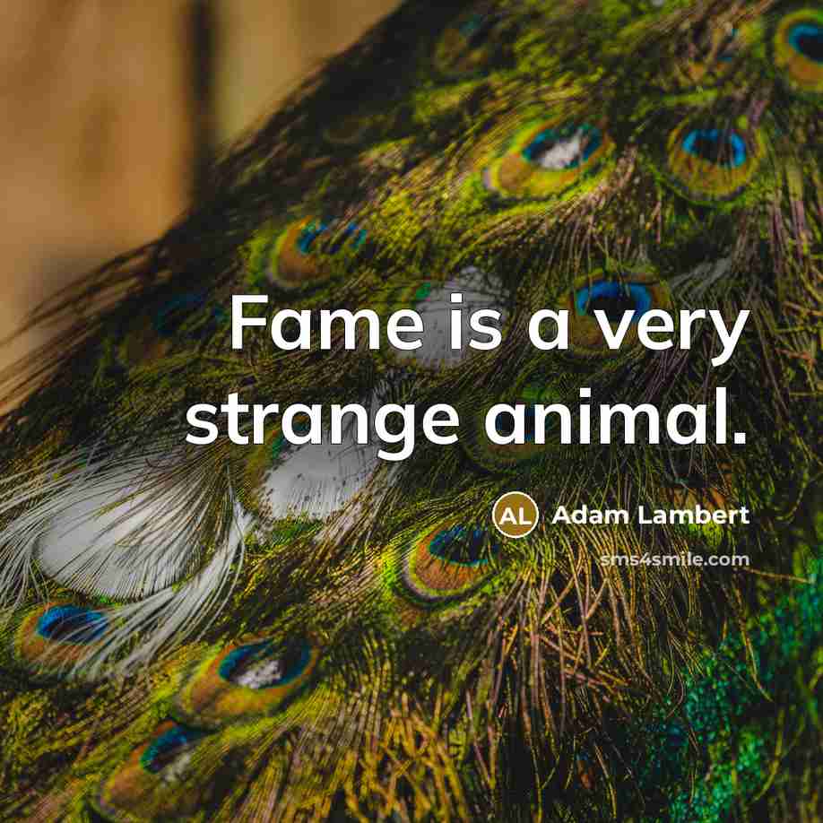 “Fame is a very strange animal.…” quote by Adam Lambert