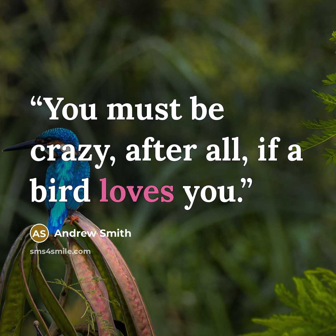 “You must be crazy, after all, if a bird loves you.” quote by Andrew Smith