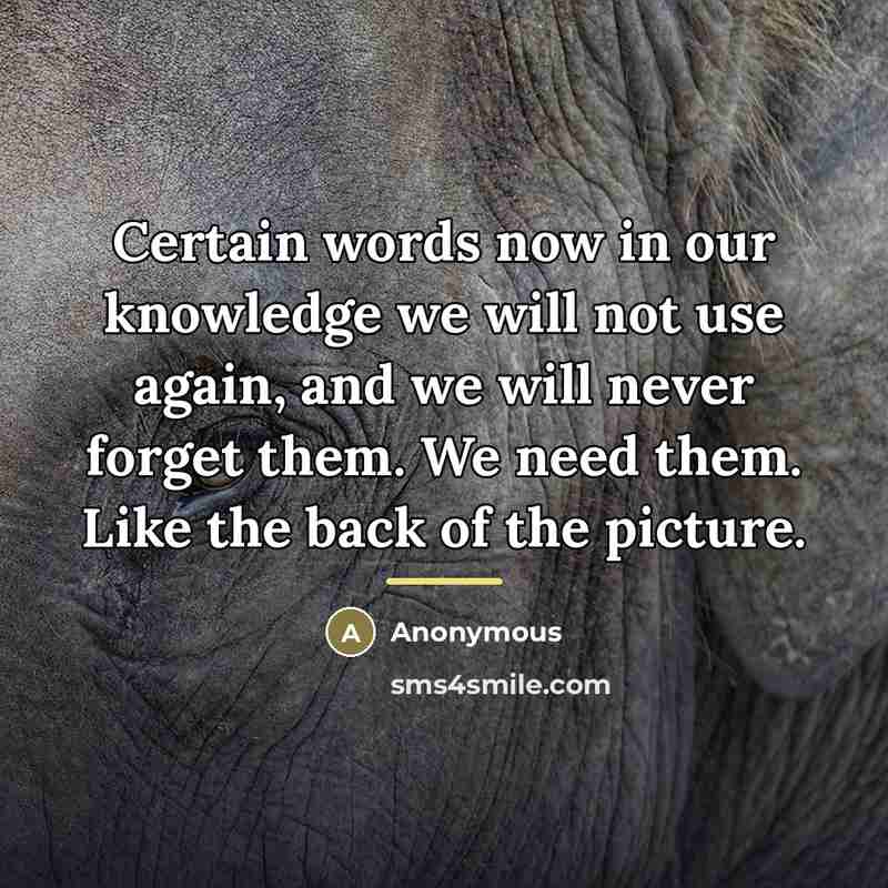 “Certain words now in our knowledge we will not use…” quote by Anonymous