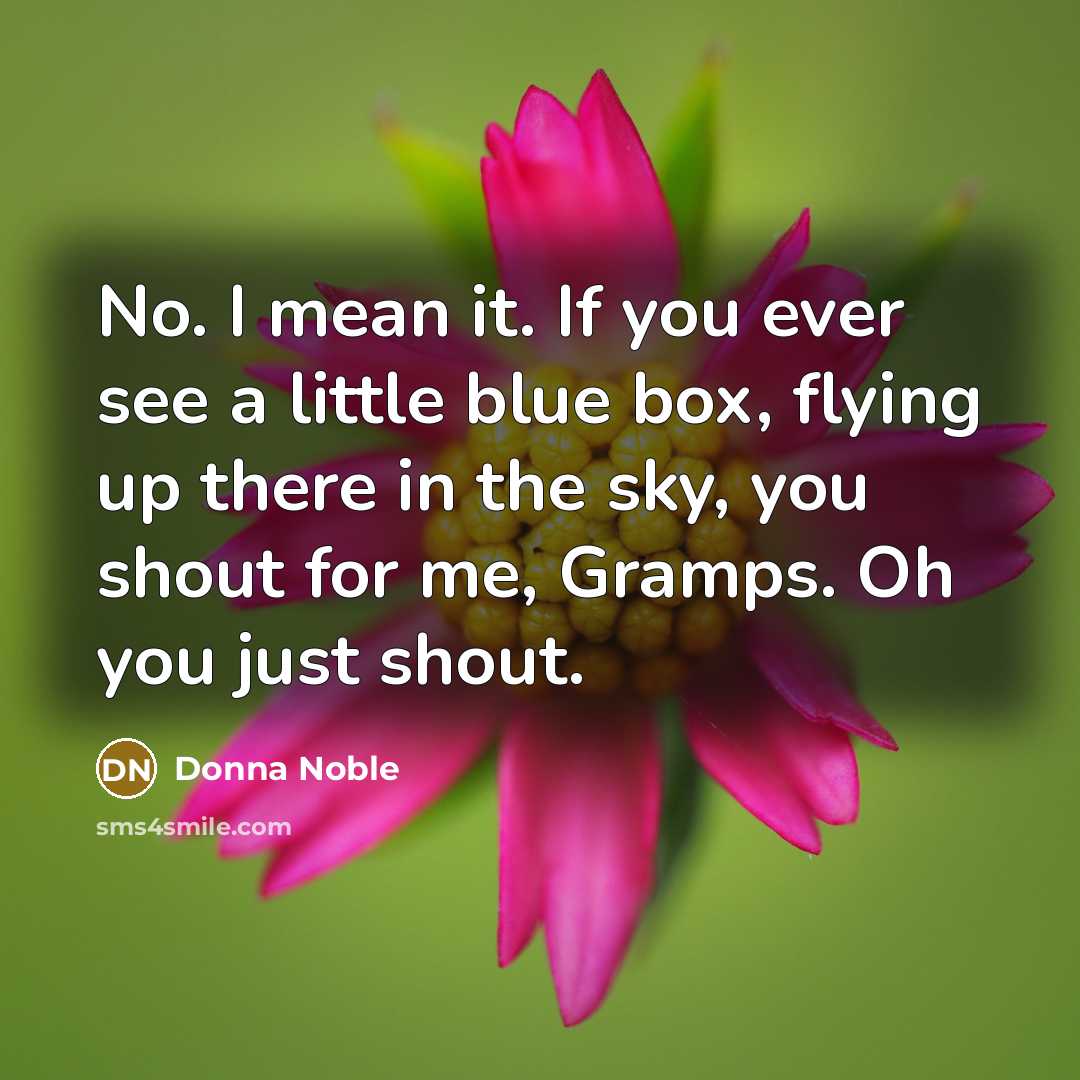 “No. I mean it. If you ever see a little blue box, flying up there in the sky, you shout for me, Gramps. Oh you just shout.” quote by Donna Noble