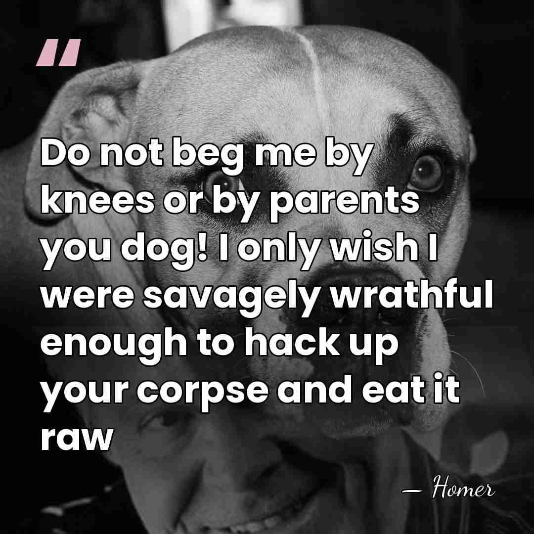 Do not beg me by knees or by parents you dog! I&hellip; - Homer