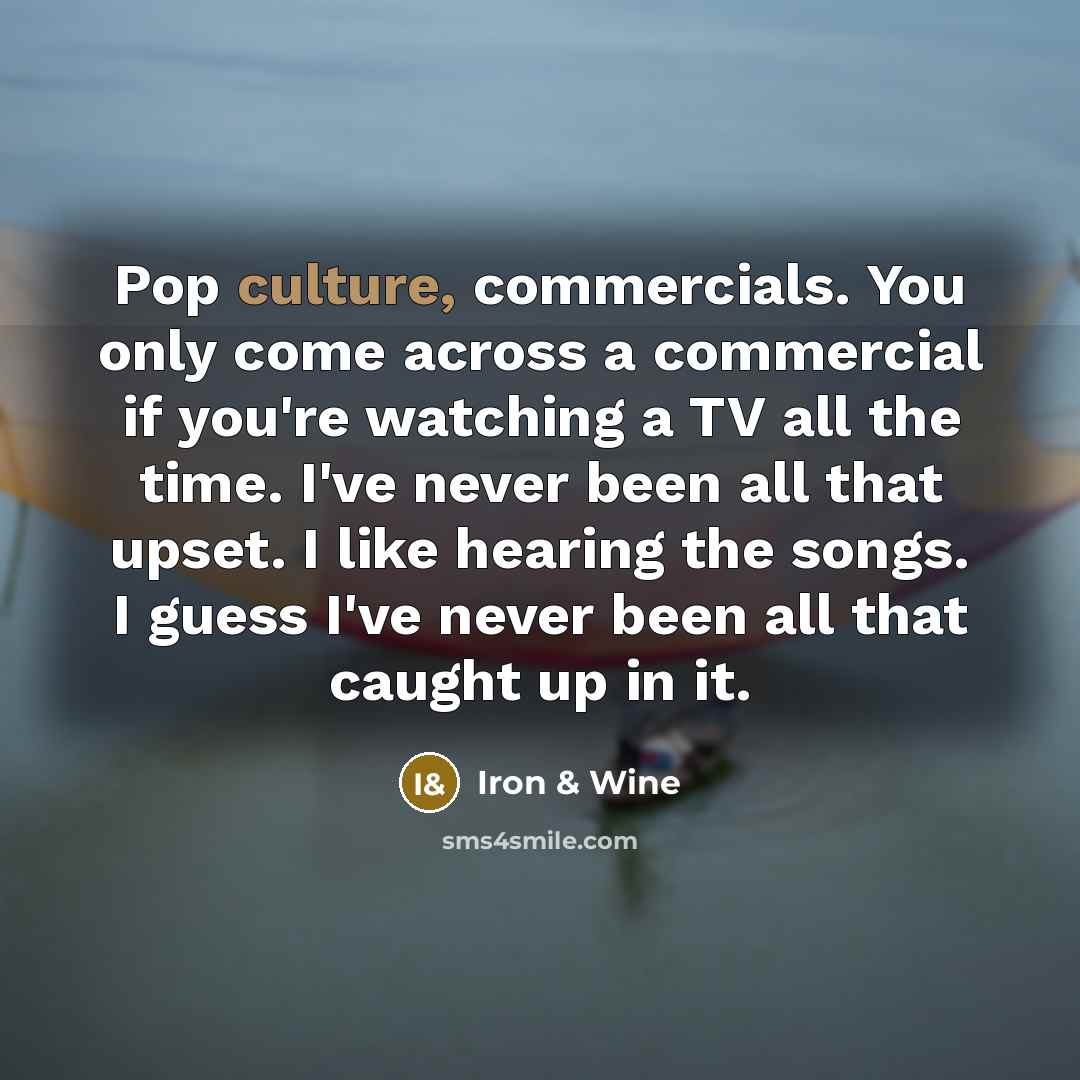 “Pop culture, commercials. You only come across a commercial if…” quote by Iron & Wine