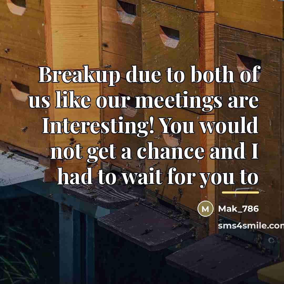 “Breakup due to both of us like our meetings are…” quote by Mak_786