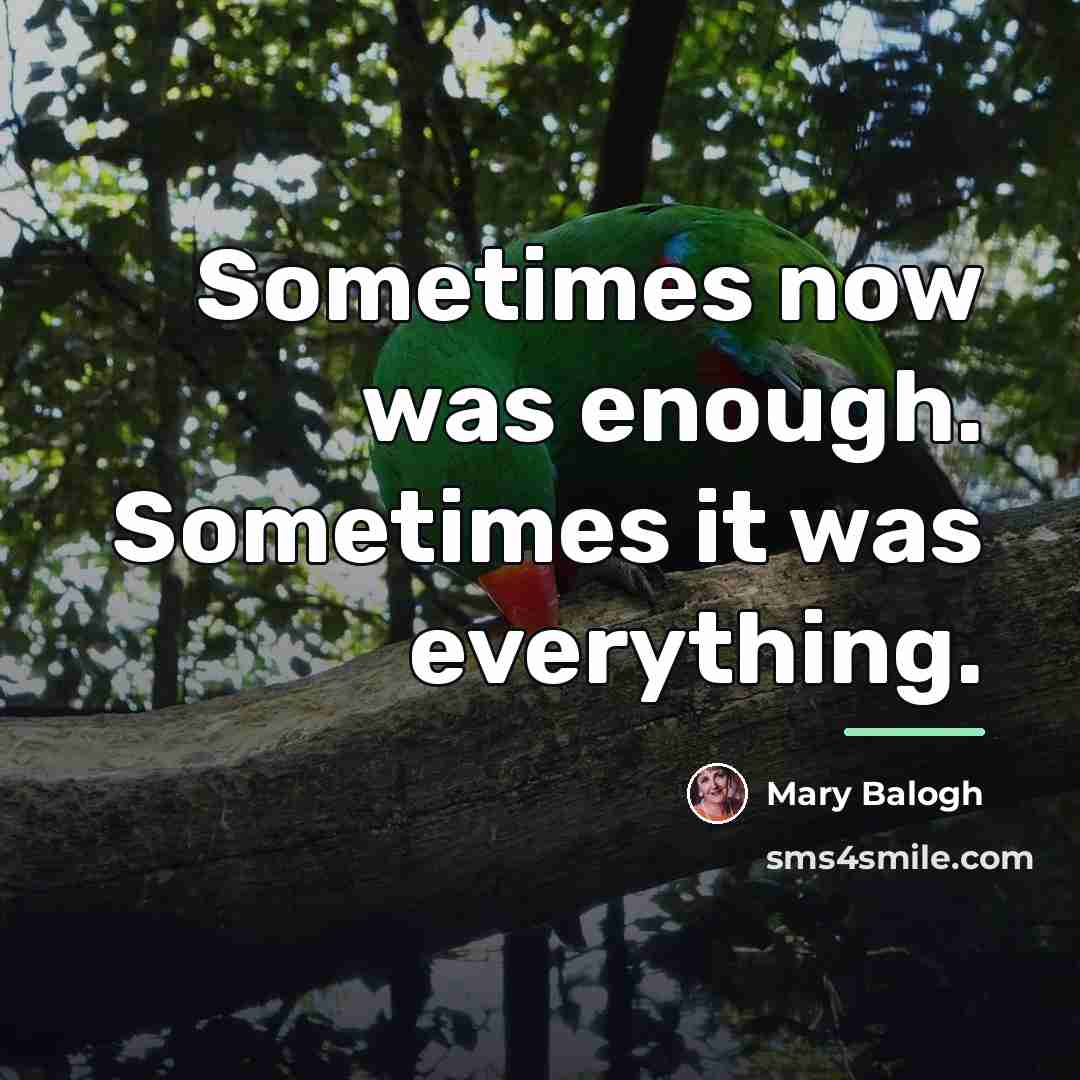 “Sometimes now was enough. Sometimes it was everything.…” quote by Mary Balogh