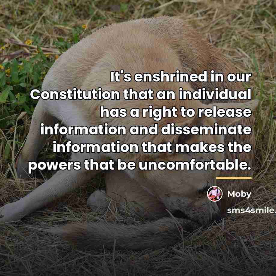 “It's enshrined in our Constitution that an individual has a…” quote by Moby