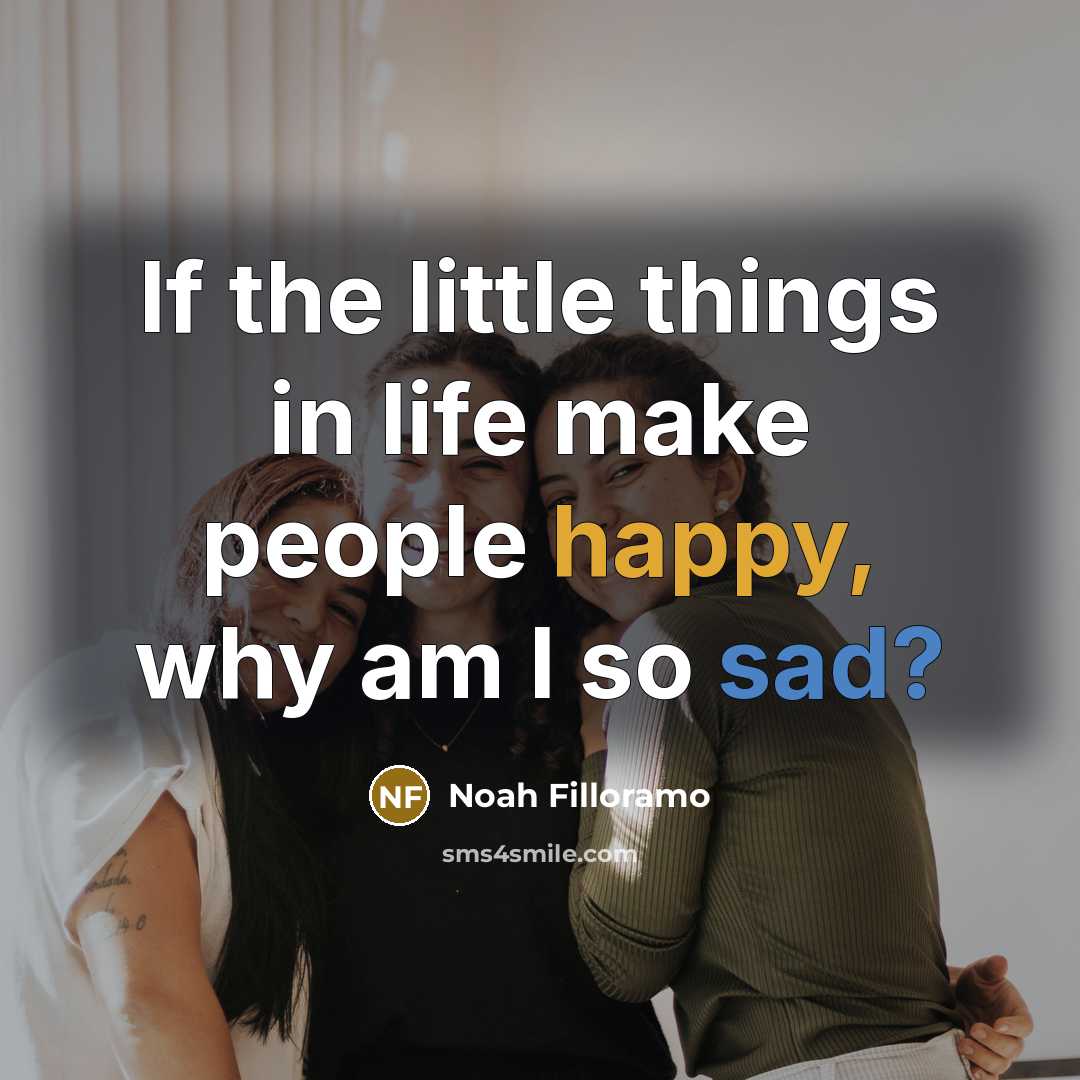 “If the little things in life make people happy, why am I so sad?” quote by Noah Filloramo