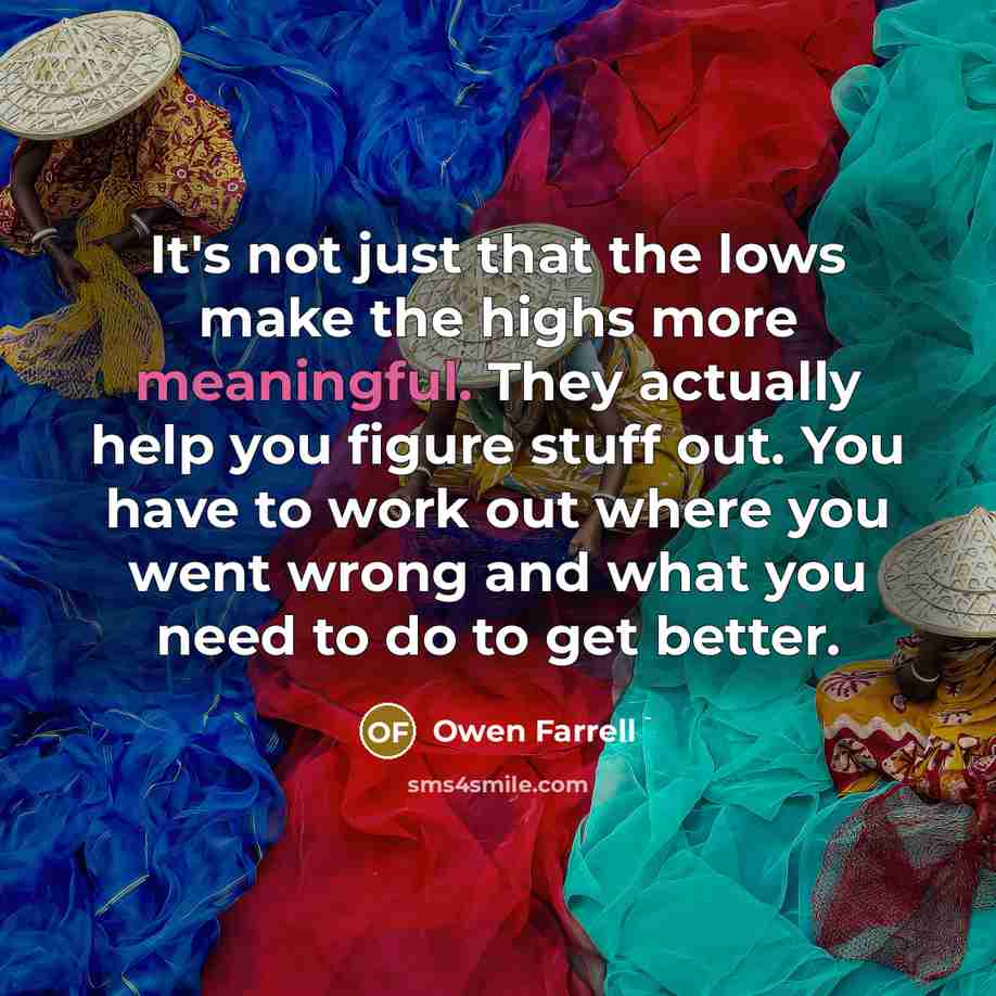 “It's not just that the lows make the highs more…” quote by Owen Farrell