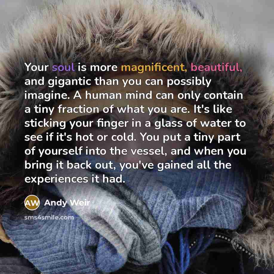 “Your soul is more magnificent, beautiful, and gigantic than you…” quote by Andy Weir