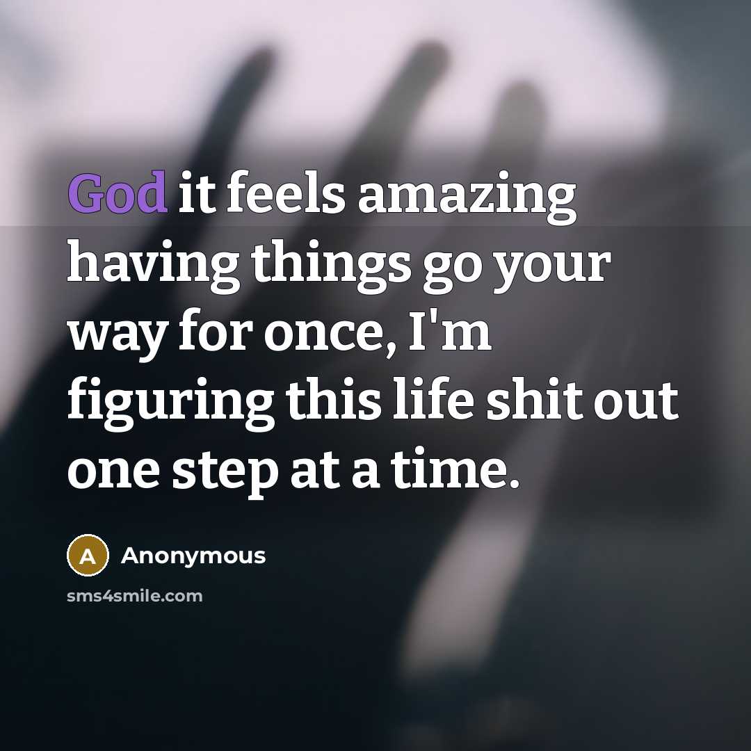 “God it feels amazing having things go your way for once, I'm figuring this life shit out one step at a time.” quote by Anonymous