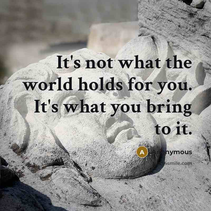 “It's not what the world holds for you. It's what…” quote by Anonymous