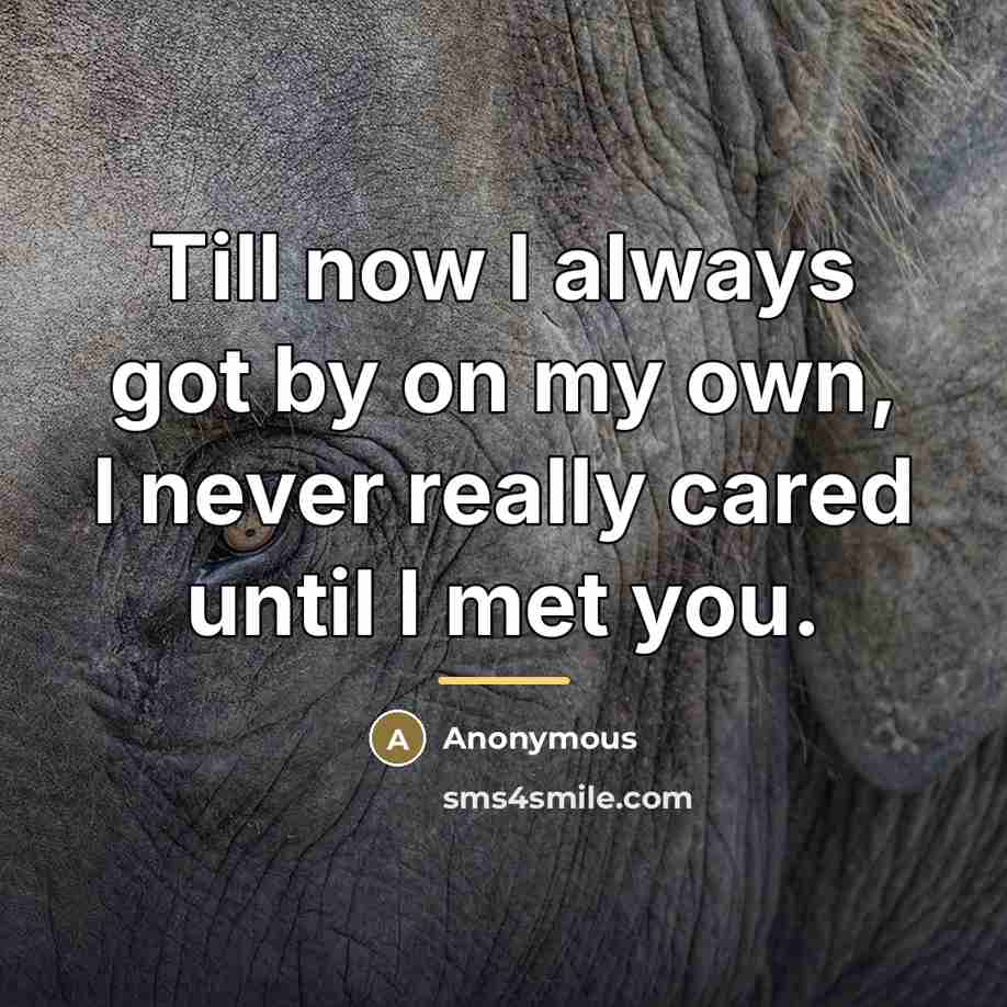 “Till now I always got by on my own, I…” quote by Anonymous