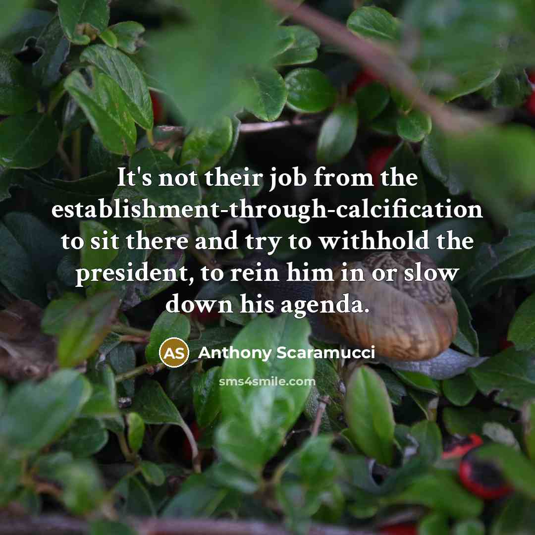 “It's not their job from the establishment-through-calcification to sit there…” quote by Anthony Scaramucci