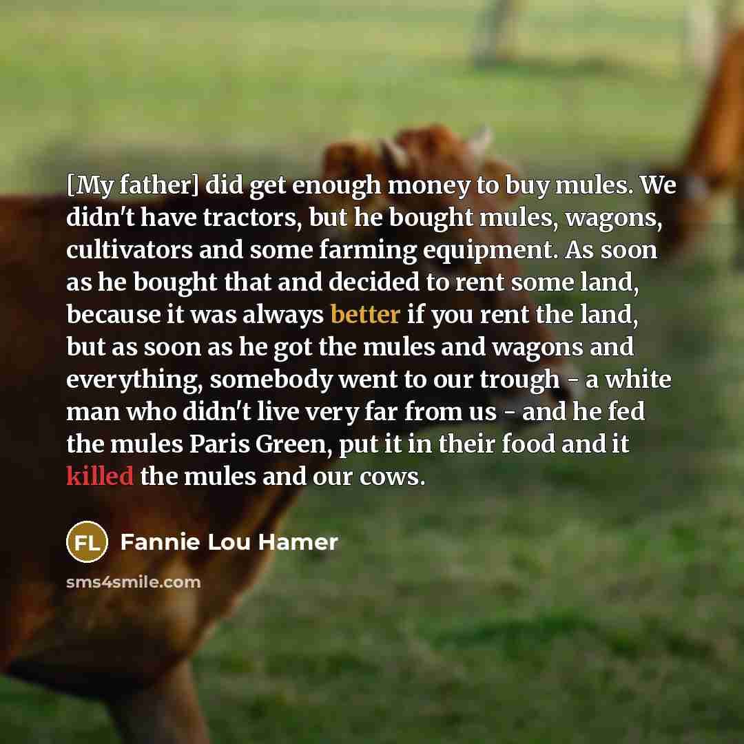 “[My father] did get enough money to buy mules. We…” quote by Fannie Lou Hamer