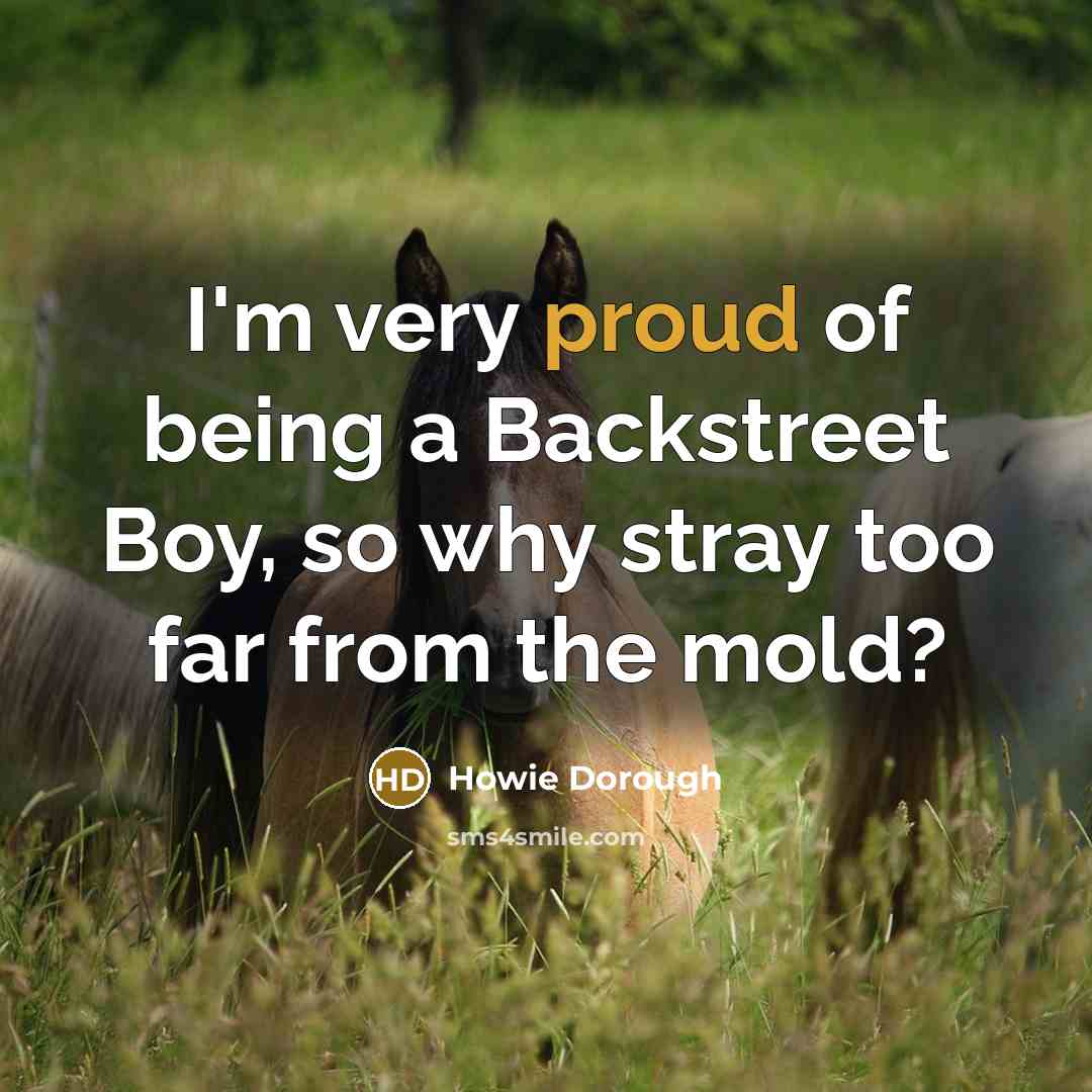 “I'm very proud of being a Backstreet Boy, so why…” quote by Howie Dorough