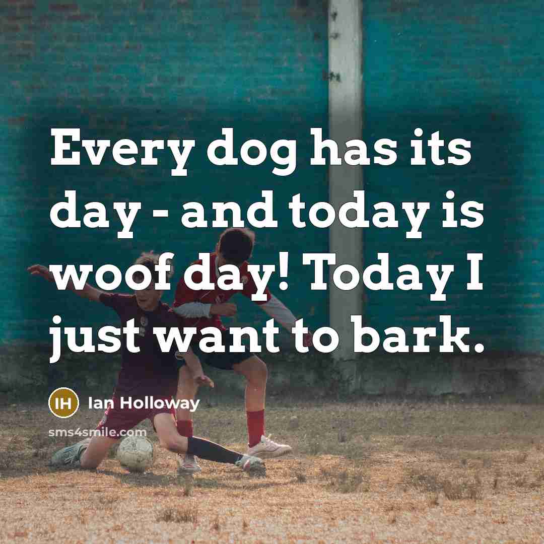 “Every dog has its day - and today is woof…” quote by Ian Holloway