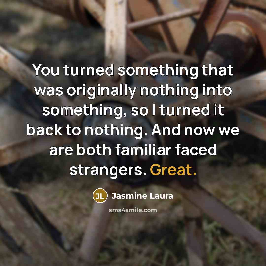 “You turned something that was originally nothing into something, so I turned it back to nothing. And now we are both familiar faced strangers. Great.” quote by Jasmine Laura
