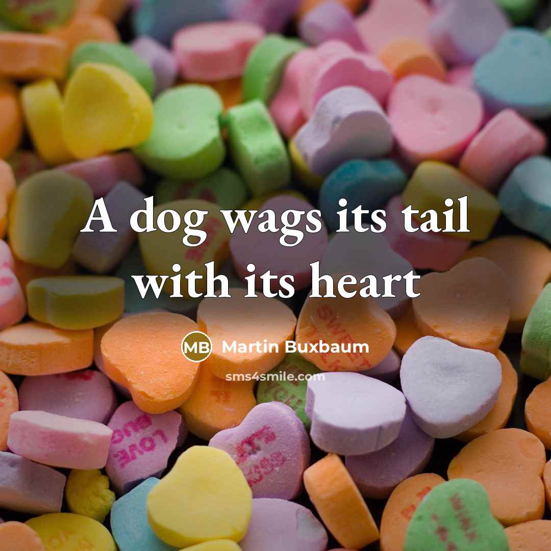 “A dog wags its tail with its heart…” quote by Martin Buxbaum