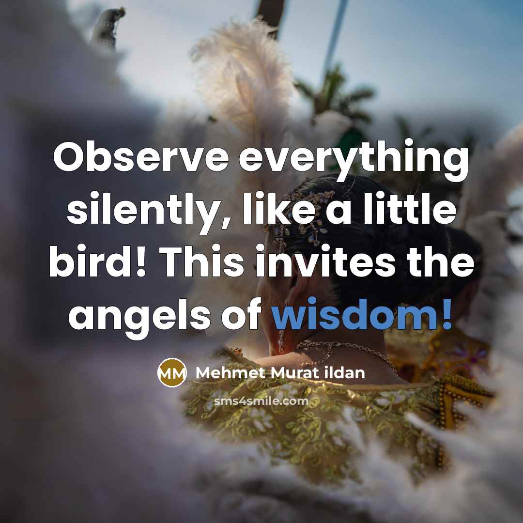 “Observe everything silently, like a little bird! This invites the…” quote by Mehmet Murat Ildan
