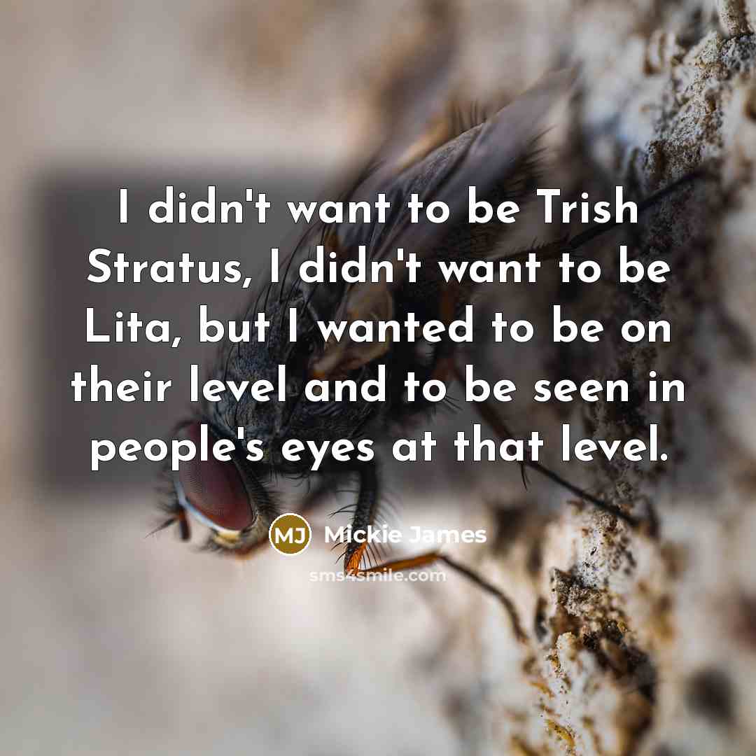 “I didn't want to be Trish Stratus, I didn't want…” quote by Mickie James