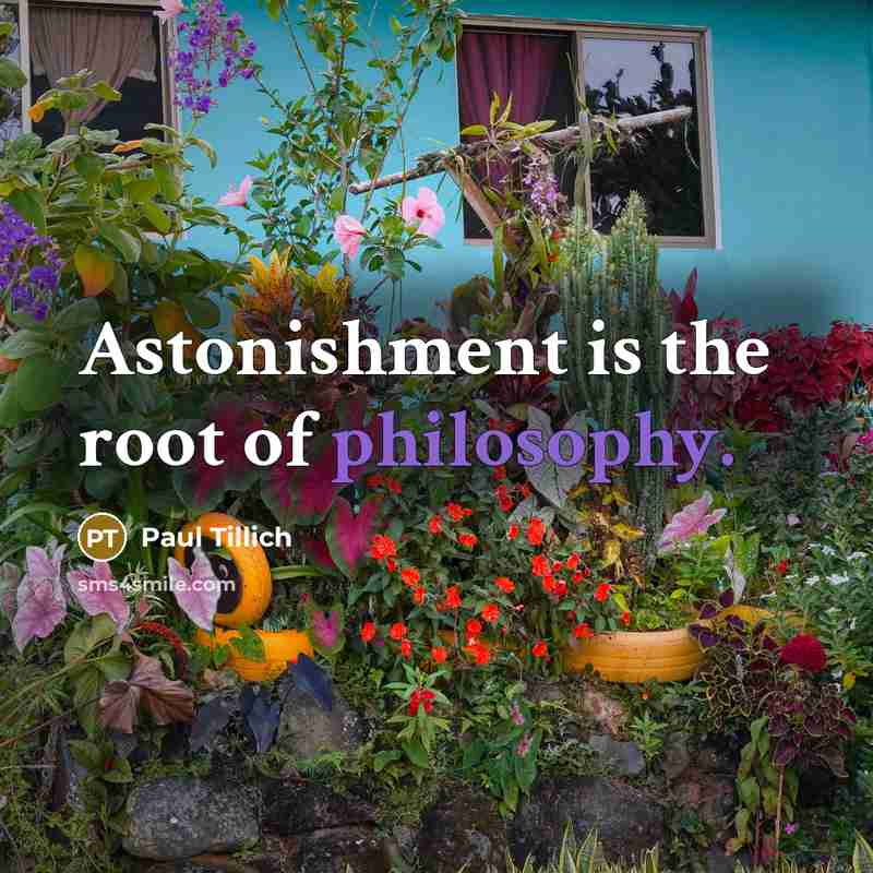 “Astonishment is the root of philosophy.…” quote by Paul Tillich