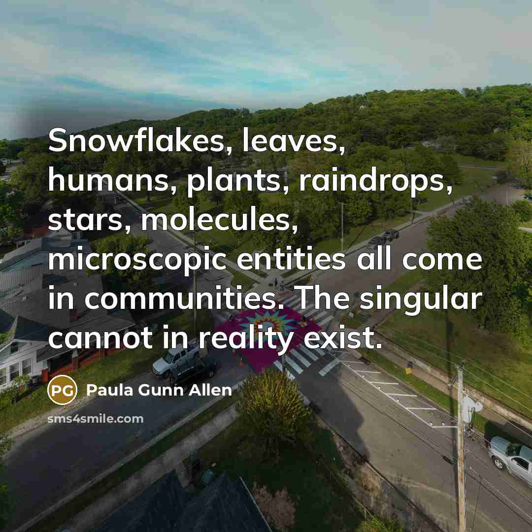 “Snowflakes, leaves, humans, plants, raindrops, stars, molecules, microscopic entities all…” quote by Paula Gunn Allen