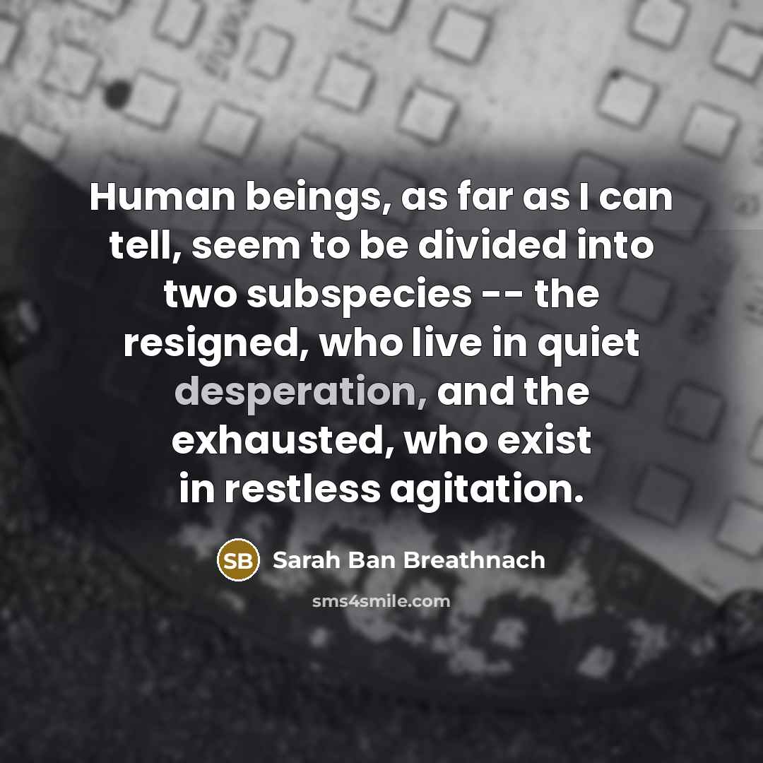 “Human beings, as far as I can tell, seem to…” quote by Sarah Ban Breathnach