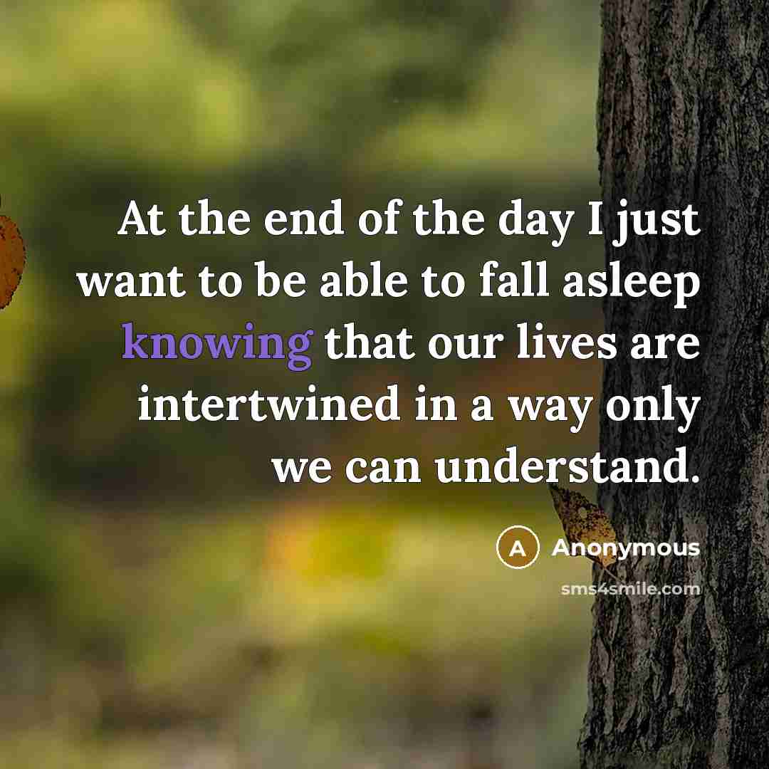 “At the end of the day I just want to be able to fall asleep knowing that our lives are intertwined in a way only we can understand.” quote by Anonymous