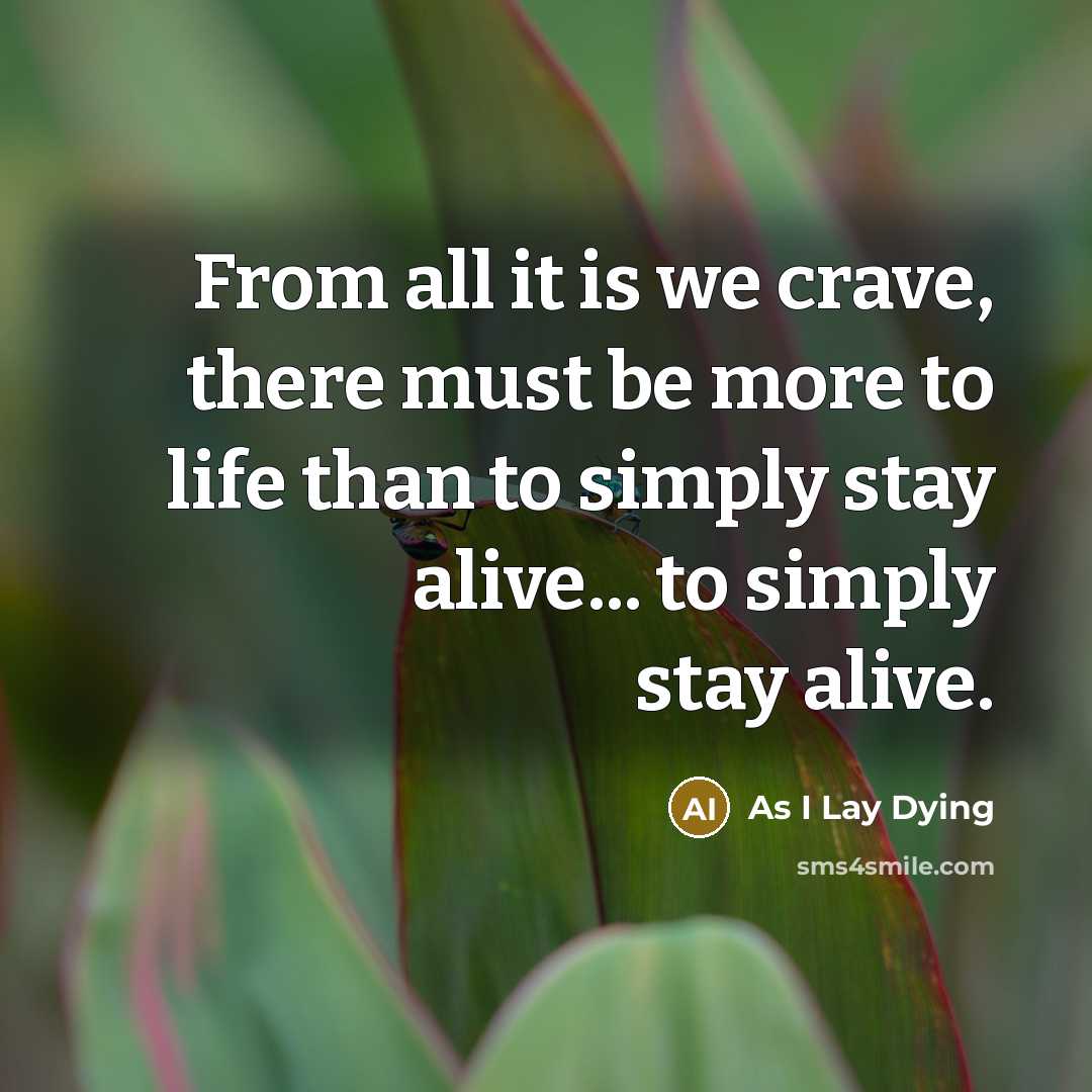“From all it is we crave, there must be more…” quote by As I Lay Dying