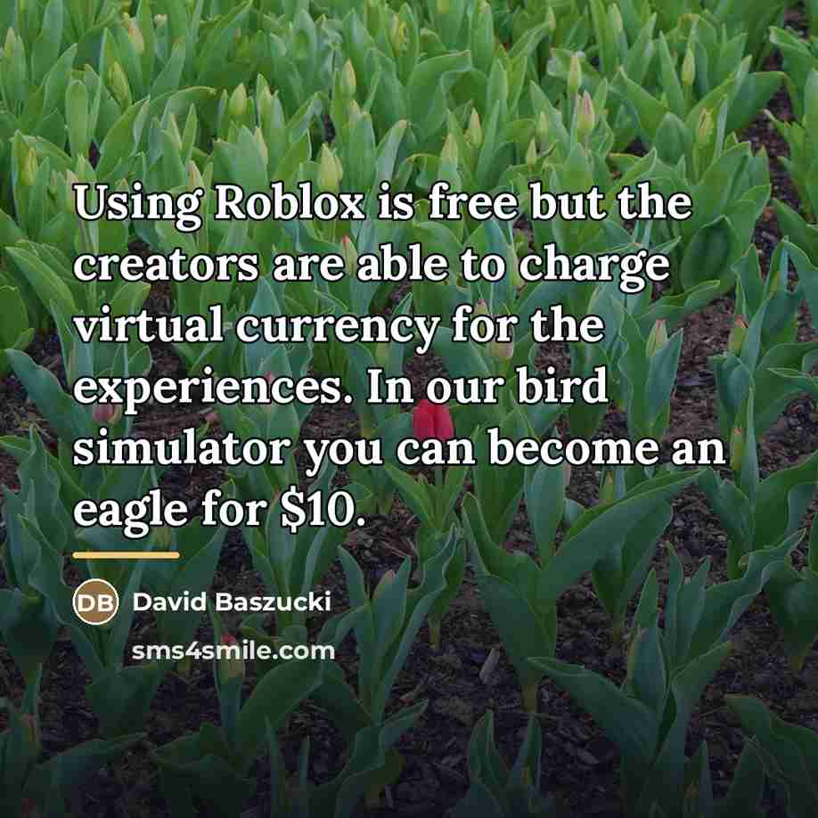 “Using Roblox is free but the creators are able to…” quote by David Baszucki