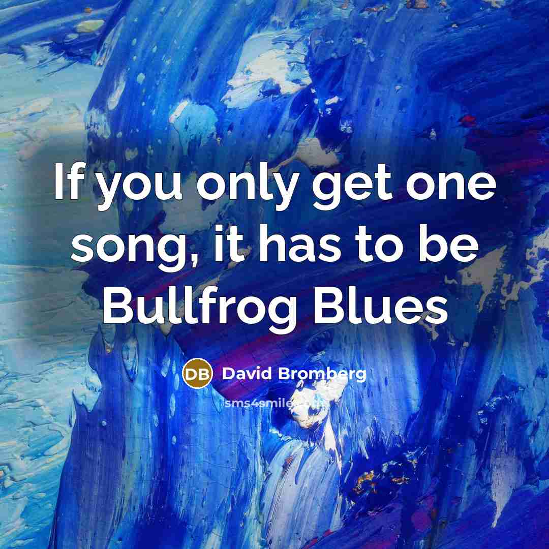 “If you only get one song, it has to be…” quote by David Bromberg