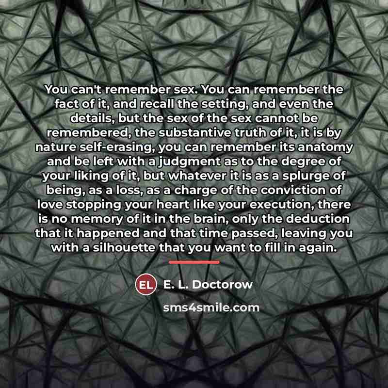 “You can't remember sex. You can remember the fact of…” quote by E. L. Doctorow
