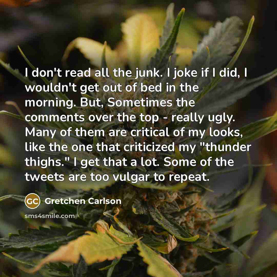 “I don't read all the junk. I joke if I…” quote by Gretchen Carlson