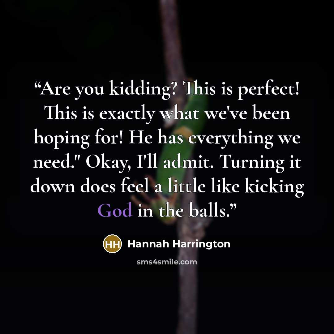 “Are you kidding? This is perfect! This is exactly what we've been hoping for! He has everything we need." Okay, I'll admit. Turning it down does feel a little like kicking God in the balls.” quote by Hannah Harrington