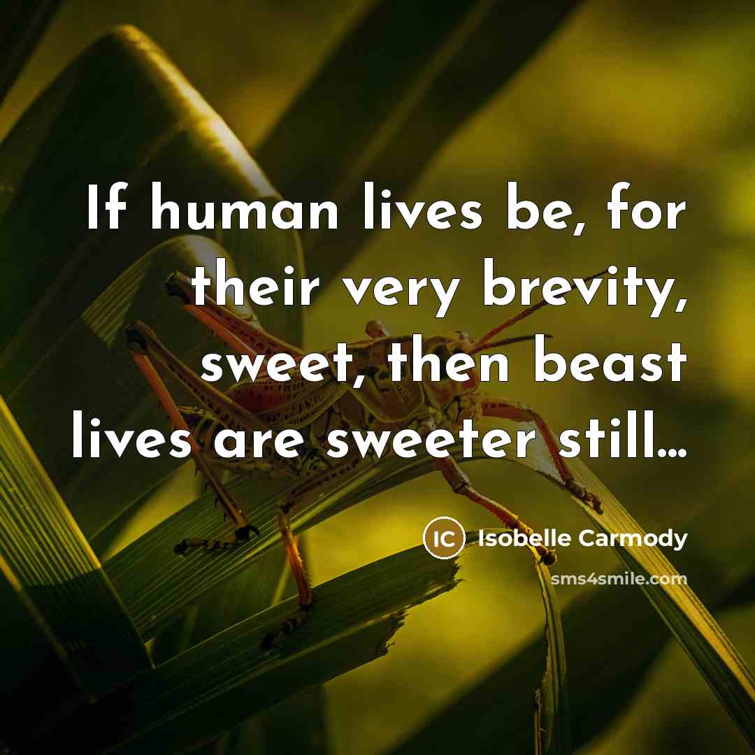 “If human lives be, for their very brevity, sweet, then…” quote by Isobelle Carmody